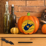West Virginia Mountaineers<br>LED 3D Logo Resin Pumpkin