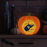 West Virginia Mountaineers<br>LED 3D Logo Resin Pumpkin