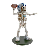 Dallas Cowboys<br>Skeleton Quarterback Resin Figurine