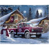 Texas A&M Aggies<br>LED Lite Box Four Seasons Art