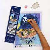 Tampa Bay Rays<br>Diamond Painting Craft Kit