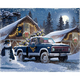 West Virginia Mountaineers<br>LED Lite Box Four Seasons Art