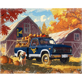 West Virginia Mountaineers<br>LED Lite Box Four Seasons Art