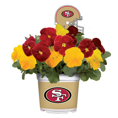 San Francisco 49ers<br>Cool Weather Flower Mix