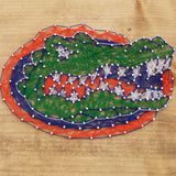 Florida Gators<br>String Art Craft Kit