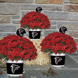 Atlanta Falcons<br>Team Color Mum