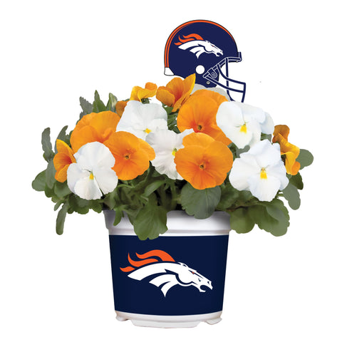 Denver Broncos<br>Cool Weather Flower Mix