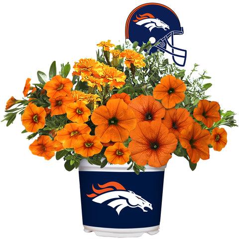 Denver Broncos<br>Warm Weather Flower Mix