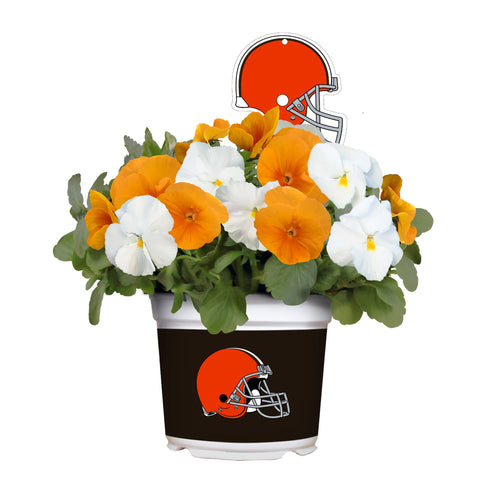 Cleveland Browns<br>Cool Weather Flower Mix