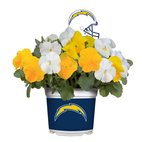 Los Angeles Chargers<br>Cool Weather Flower Mix