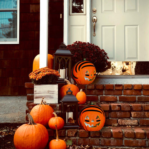 Cincinnati Bengals Snoopy Pumpkin House NFL