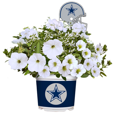 Dallas Cowboys<br>Warm Weather Flower Mix