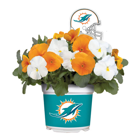 Miami Dolphins<br>Cool Weather Flower Mix