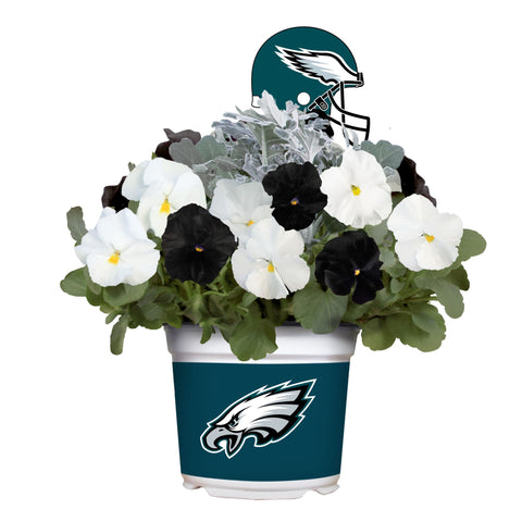 Philadelphia Eagles<br>Cool Weather Flower Mix