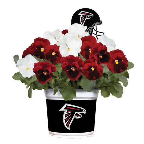 Atlanta Falcons<br>Cool Weather Flower Mix