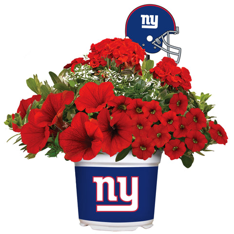 New York Giants<br>Warm Weather Flower Mix