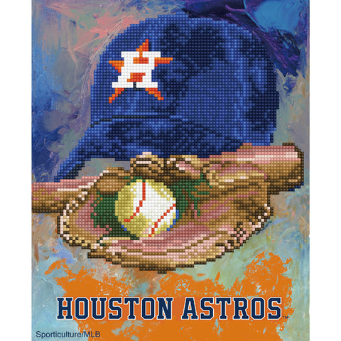 Houston Astros MLB American Flower Hawaiian Shirt - Growkoc
