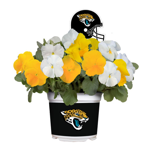 Jacksonville Jaguars<br>Cool Weather Flower Mix