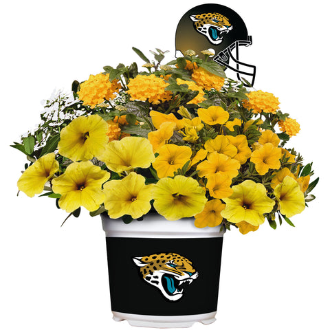Jacksonville Jaguars<br>Warm Weather Flower Mix