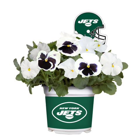 New York Jets<br>Cool Weather Flower Mix