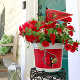 Louisville Cardinals<br>Warm Weather Flower Mix