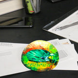 Oregon Ducks<br>Glass Dome Paperweight