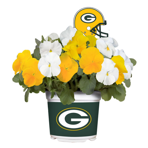 Green Bay Packers<br>Cool Weather Flower Mix