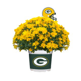 Green Bay Packers<br>Team Color Mum