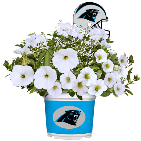 Carolina Panthers<br>Warm Weather Flower Mix