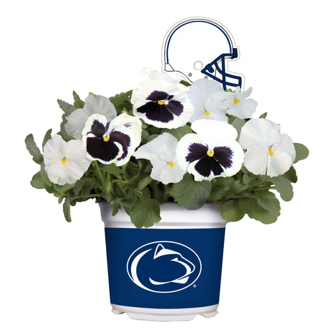 Penn State Nittany Lions<br>Cool Weather Flower Mix