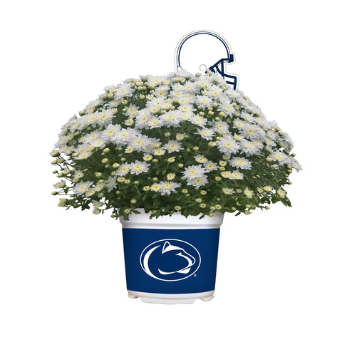 Penn State Nittany Lions<br>Team Color Mum