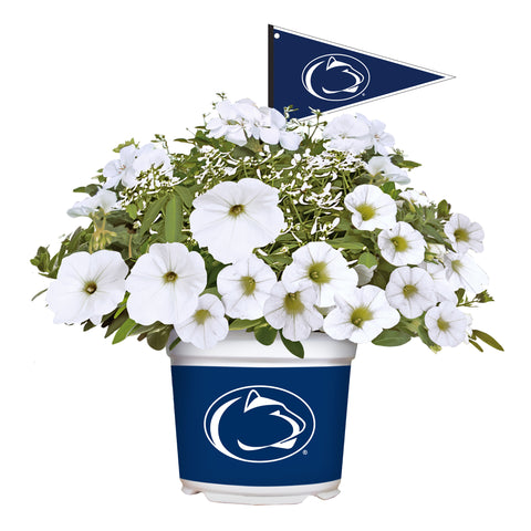 Penn State Nittany Lions<br>Warm Weather Flower Mix
