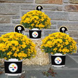 Pittsburgh Steelers<br>Team Color Mum