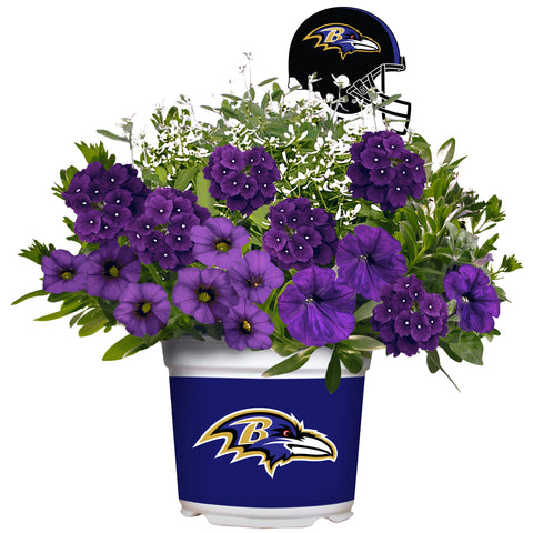 Baltimore Ravens<br>Warm Weather Flower Mix