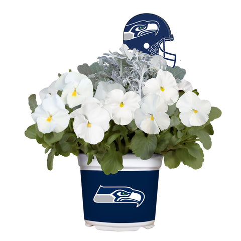 Seattle Seahawks<br>Cool Weather Flower Mix