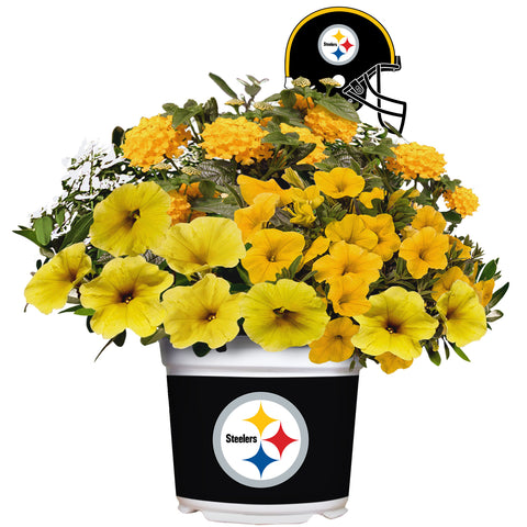 Pittsburgh Steelers<br>Warm Weather Flower Mix