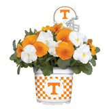 Tennessee Volunteers<br>Cool Weather Flower Mix