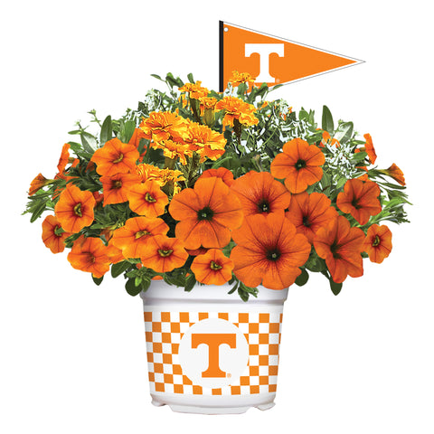 Tennessee Volunteers<br>Warm Weather Flower Mix