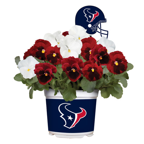 Houston Texans<br>Cool Weather Flower Mix