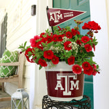 Texas A&M Aggies<br>Warm Weather Flower Mix