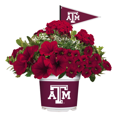 Texas A&M Aggies<br>Warm Weather Flower Mix