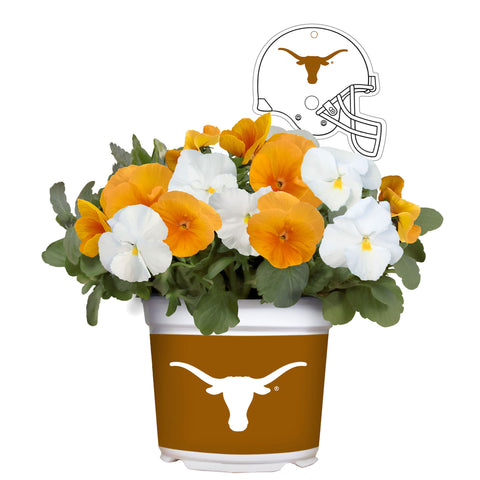 Texas Longhorns<br>Cool Weather Flower Mix