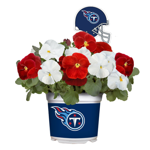 Tennessee Titans<br>Cool Weather Flower Mix