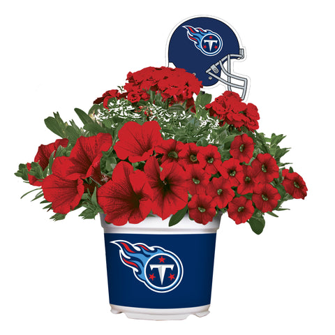 Tennessee Titans<br>Warm Weather Flower Mix