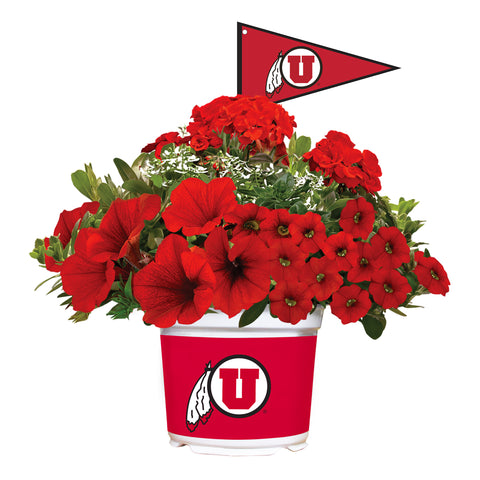 Utah Utes<br>Warm Weather Flower Mix