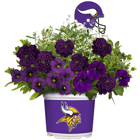 Minnesota Vikings<br>Warm Weather  Flower Mix