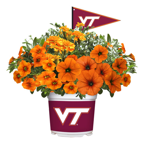Virginia Tech Hokies<br>Warm Weather Flower Mix